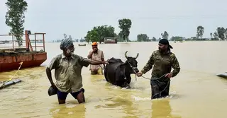 ভারতে বন্যা সতর্কতায় রেড অ্যালার্ট জারি, নিহত আরও ৮